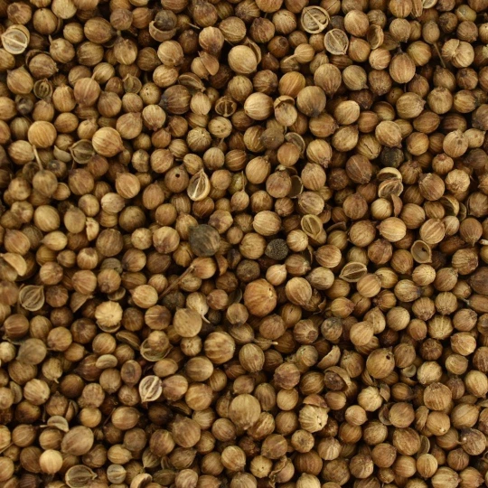 Organic Coriander Whole - Bulk