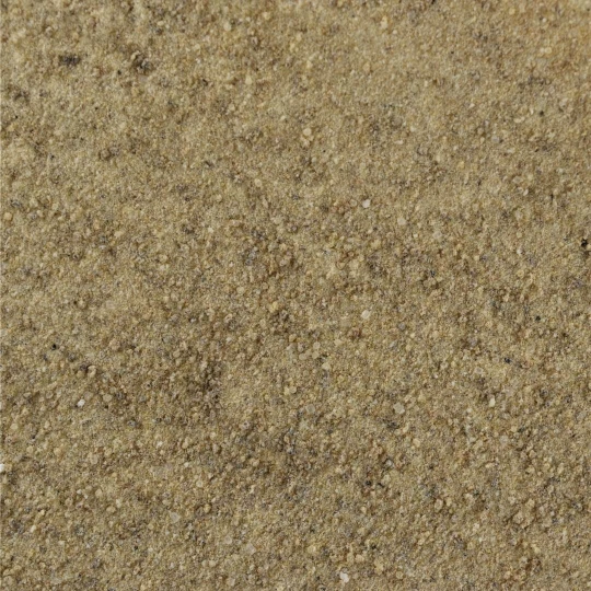 Onion Soup Premium Line - Bulk-1