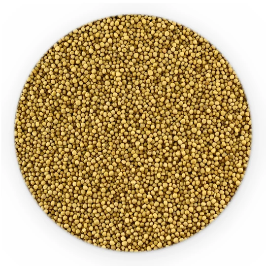 Mustard Seeds White - Bulk-1