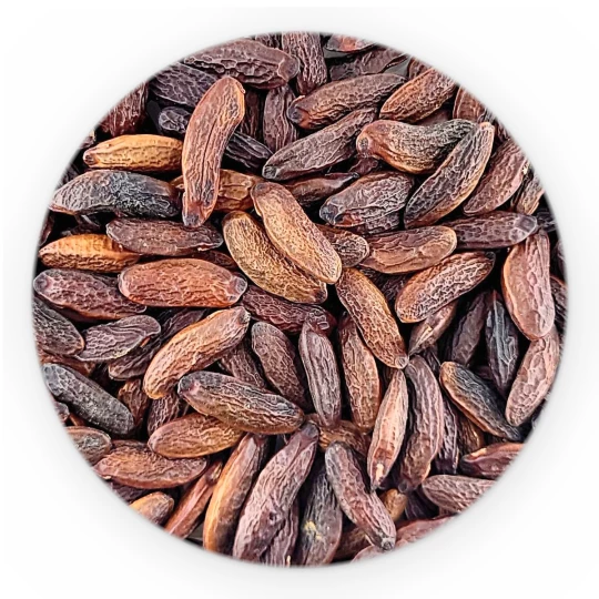 Tonka Beans - Premium Line-1