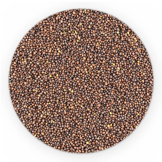 Mustard Seeds Black - Premium Line-1
