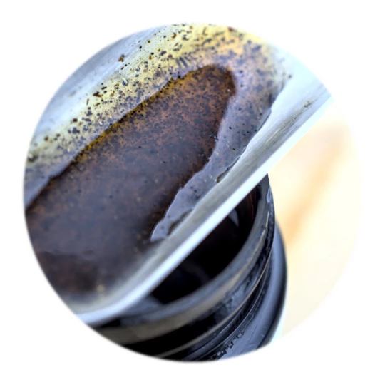 Vanilla Paste-2