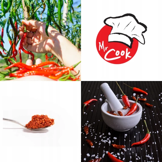 Chilli Ground India - Premium Line-1