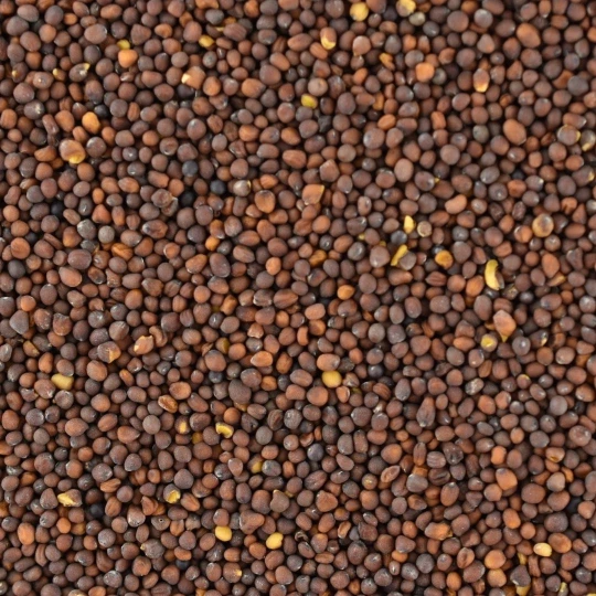Mustard Seeds Black - Bulk