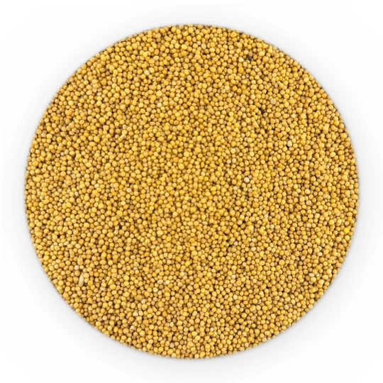 Organic Mustard Seeds White - Bulk-1