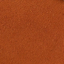 Tomatoes Powder - Bulk