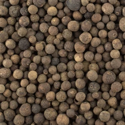 Allspice Whole - Bulk