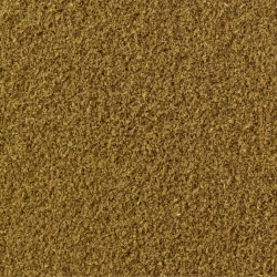 Anise Ground - HoReCa Basic Line-1