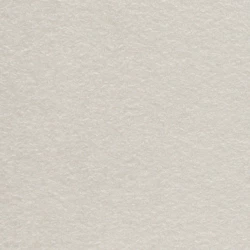 Monosodium Glutamate - Bulk