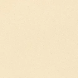 Garlic Ground - Bulk