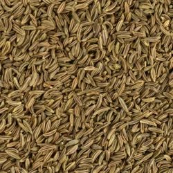 Organic Caraway Whole - Bulk