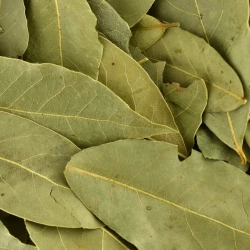 Organic Bay Leaves Whole - Bulk