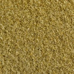 Organic Mustard Seeds White Ground - Bulk