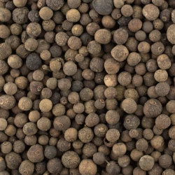 Allspice Whole - Premium Line-1