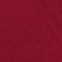 Beetroot Juice Concentrate (powder) - Bulk