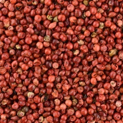 Pink Peppercorns - Bulk