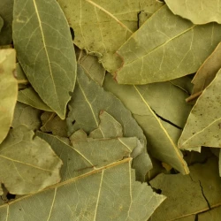 Bay Leaves Whole - Bulk