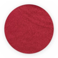 Beetroot Juice Concentrate (powder) - Bulk-1