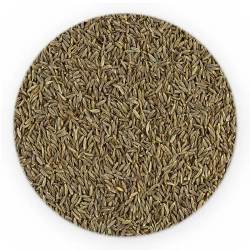 Savory Ground - Bulk-1