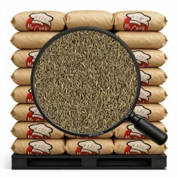 Savory Ground - Bulk