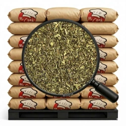 Tarragon Dried - Bulk