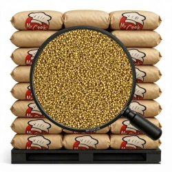 Mustard Seeds White - Bulk