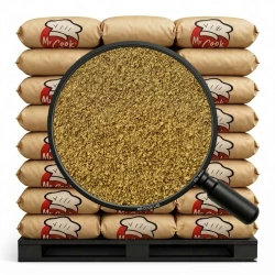 Ginger Ground - Bulk