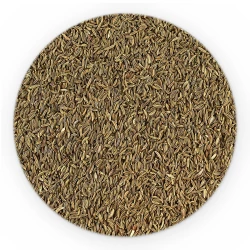 Caraway Whole - Bulk-1