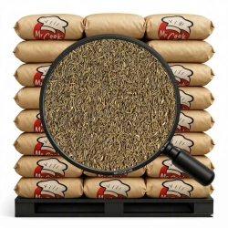 Caraway Whole - Bulk