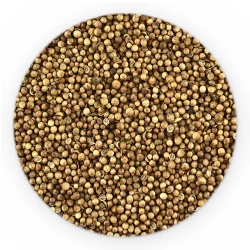 Coriander Whole - Bulk-1