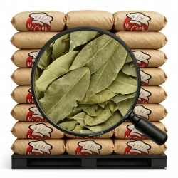 Bay Leaves Whole Semi Selected - Bulk
