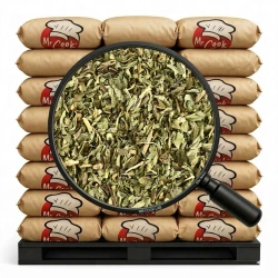 Spearmint Dried - Bulk