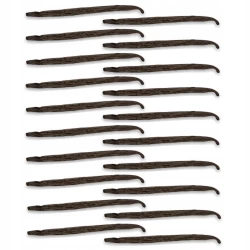 Vanilla Pods Uganda Gourmet 12-14 cm - Premium Line 20szt Worek próżniowy