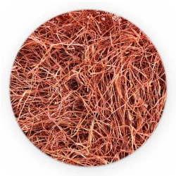 Chilli Strings - Premium Line-1