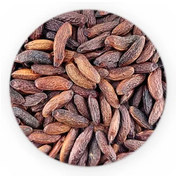 Tonka Beans - Premium Line-1