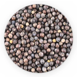 Juniper Whole Berries - HoReCa Basic Line-1