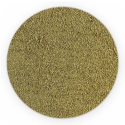 Cardamon Green Ground - Premium Line-1