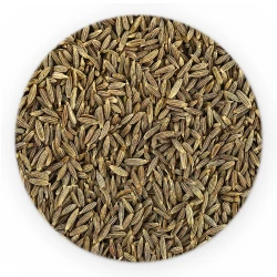 Cumin Whole - Premium Line-1