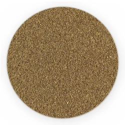 Coriander Ground - HoReCa Basic Line-1