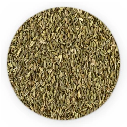 Fennel Whole - Premium Line-1
