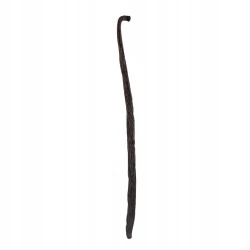 Vanilla Bourbon Pods 14-16 cm Madagascar - Premium Line 20szt Doypack