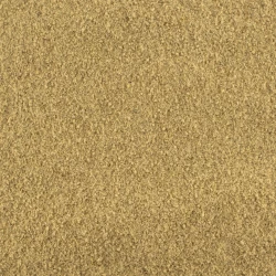 Ginger Ground - Bulk