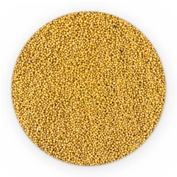 Organic Mustard Seeds White - Bulk-1