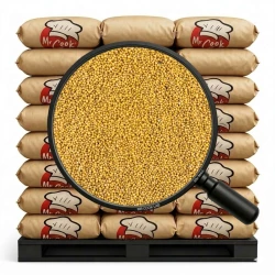 Organic Mustard Seeds White - Bulk