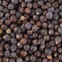 Juniper Whole Berries - Bulk