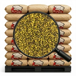 Organic Green Pepper Whole - Bulk