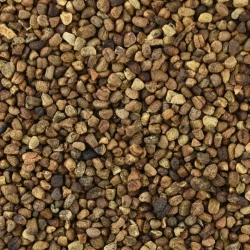 Cardamon Seeds Cleaned - Bulk