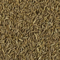 Cumin Whole - Bulk