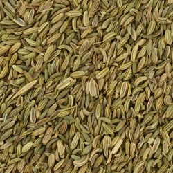 Fennel Whole - Bulk