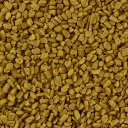 Fenugreek Whole Seeds - Bulk